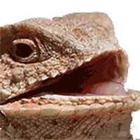 udkm93heheheeh