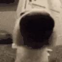 collectiblesSNIFFA