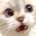 jihauohnoo
